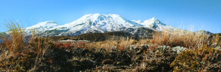 Taupo